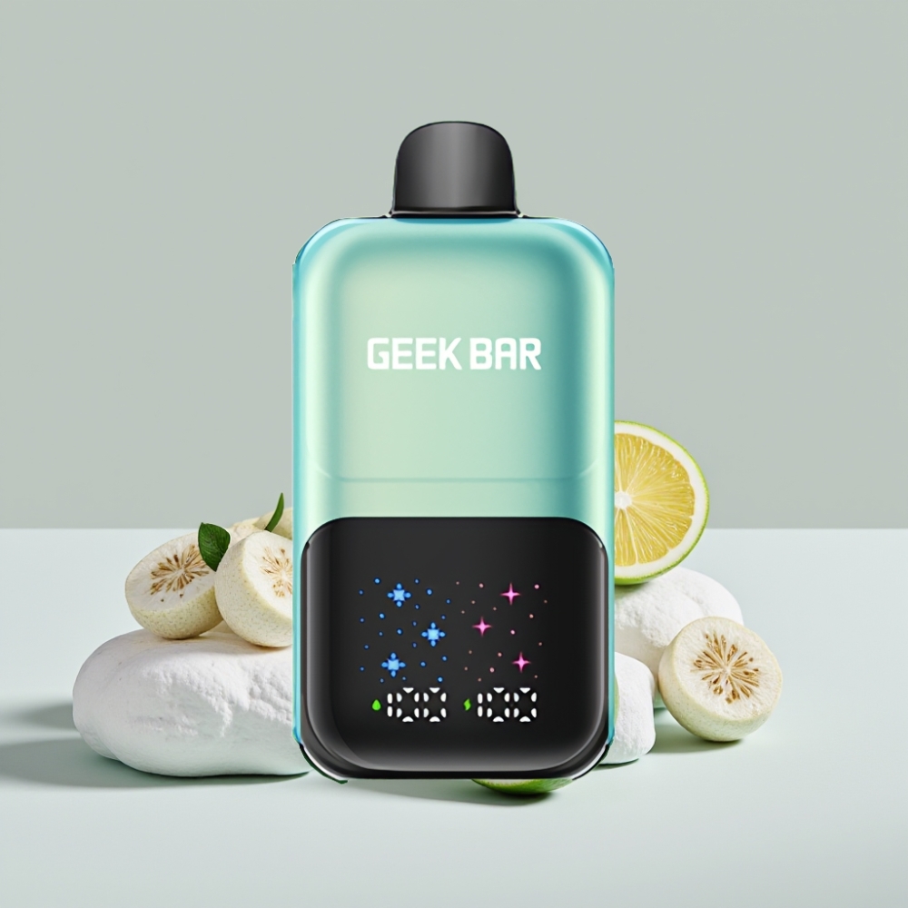 GEEK BAR 2GO 20 مل 50000 نفخة سلسلة مزدوجة قلم تبخير قابل للتصريف بنكهة النعناع المنعش، شاشة كبيرة تفاعلية، خزان مزدوج 20 مل، بطارية قابلة للشحن